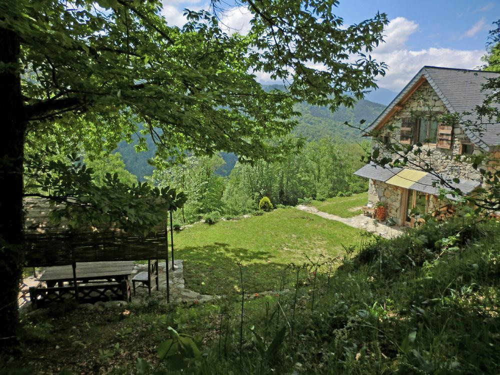 photo 0