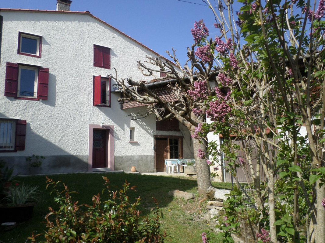 photo 0