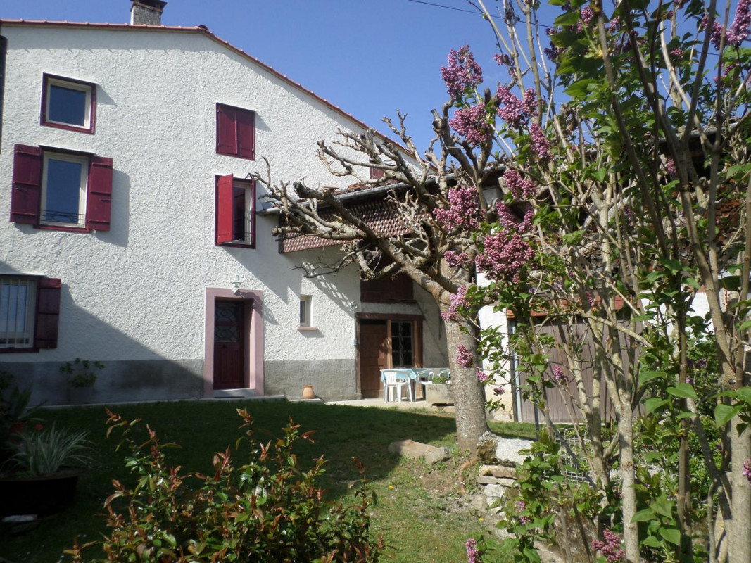 photo 0