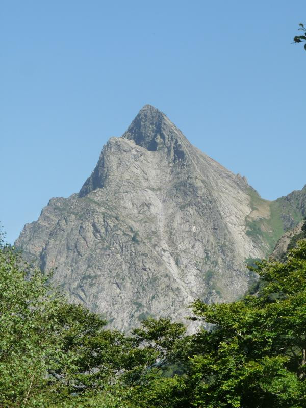 photo 35