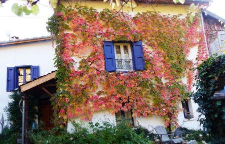G&icirc;te n&deg;09G10075 Garanou - Ari&egrave;ge - Le jardin aux couleurs de l'automne!